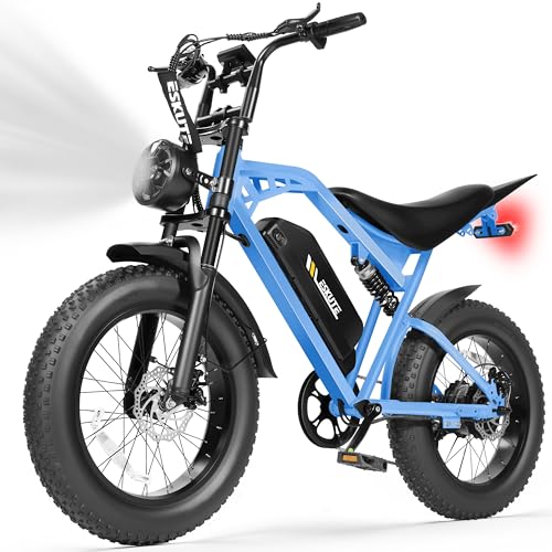 V200 Electric Dirt Bike 52V 20.8Ah Fat Tire 32MPH Dual Suspension