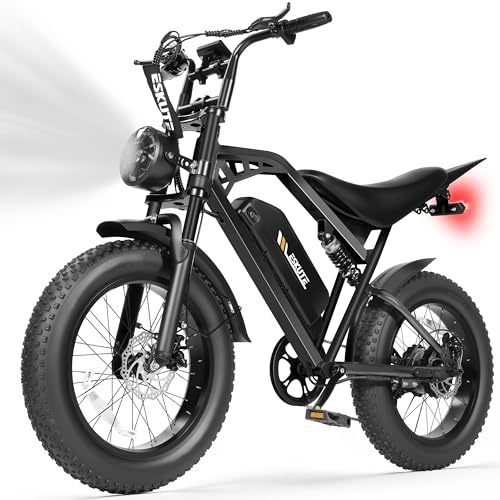 V200 Electric Dirt Bike 52V 20.8Ah Fat Tire 32MPH Dual Suspension