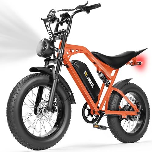 V200 Electric Dirt Bike 52V 20.8Ah Fat Tire 32MPH Dual Suspension