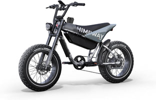 C5 SUV Electric Mountain E-Bike 48V 20Ah 960Wh Fat Tire