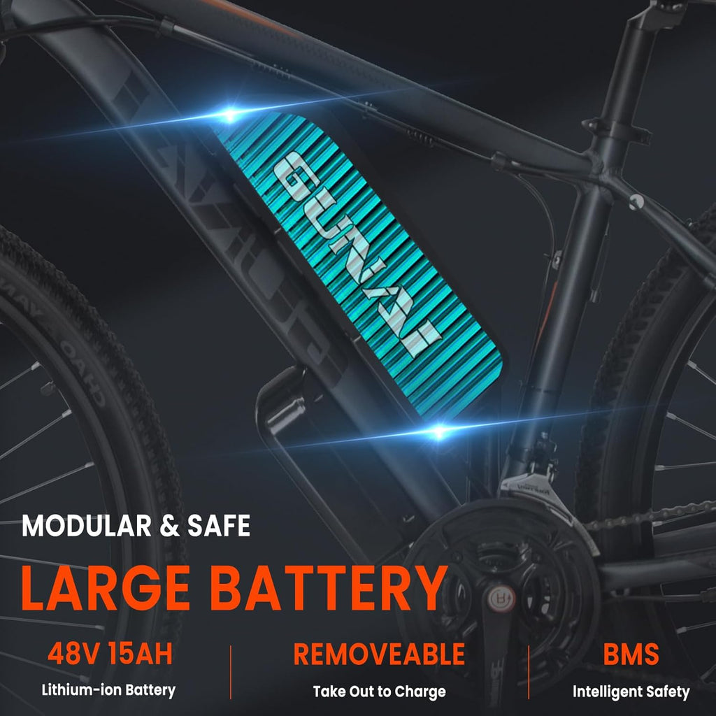 GN29 Electric Bike 29 Inch 48V 15Ah 21 Speed LCD Display Black